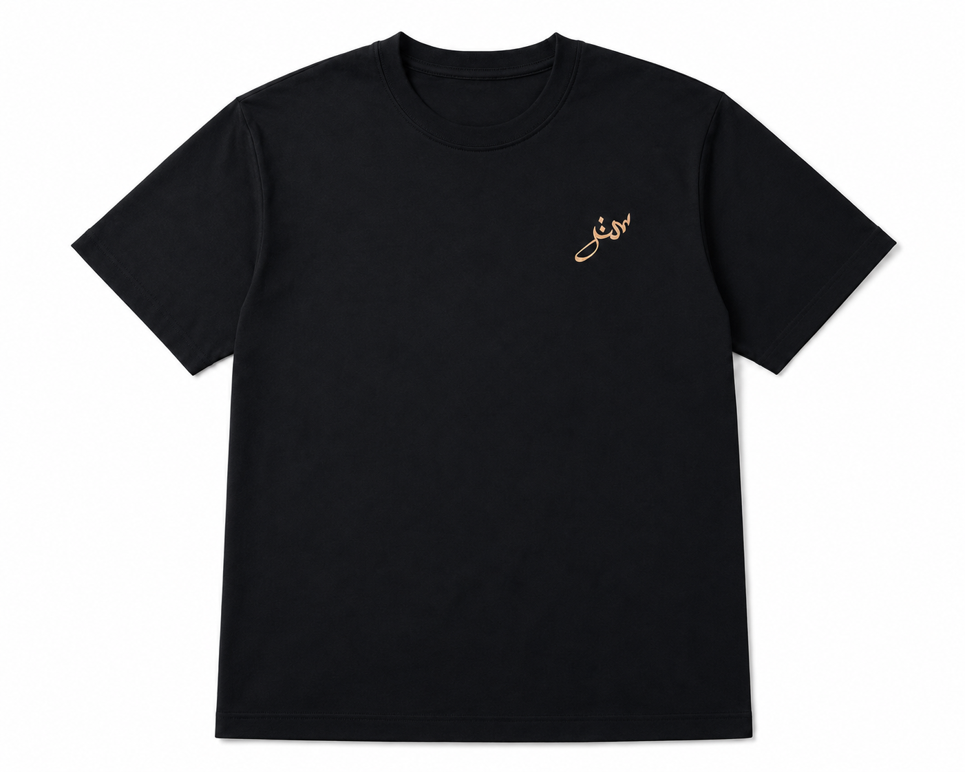 The Conference of Birds  —Embroidered Oversized Tee | Jet Black